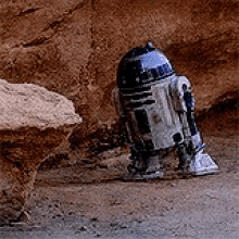 tenor.gif