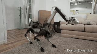 cayarlrcxrjgg8ajebdc.gif