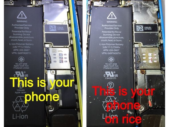 www.ifixit.com